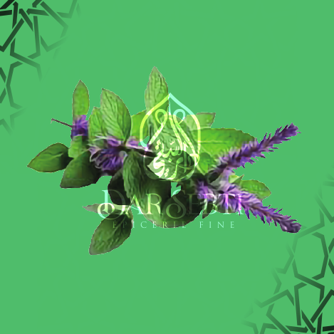 Menthe pouliot